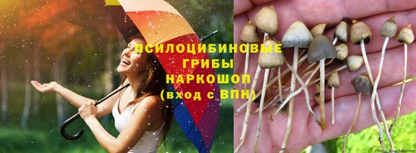 MDMA Premium VHQ Зерноград